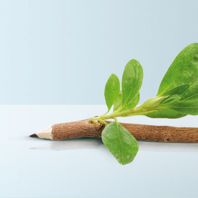 Η ΑΝΑΜΟΡΦΩΣΗ ΤΗΣ ΠΕΡΙΒΑΛΛΟΝΤΙΚΗΣ ΝΟΜΟΘΕΣΙΑΣ